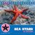 Sea Stars in the Wild