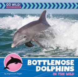 Bottlenose Dolphins in the Wild