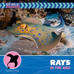 Rays in the Wild