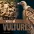 Wake of Vultures