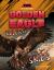 Golden Eagle: Ruler of the Skies