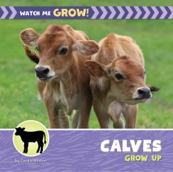 Calves Grow Up