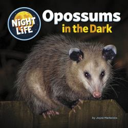 Opossums in the Dark