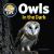Owls in the Dark Owls in the Dark