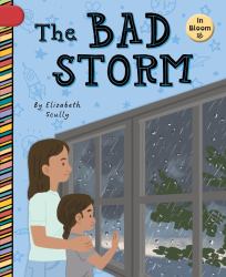 The Bad Storm