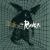 The Raven