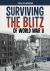 Surviving the Blitz of World War II : A History-Seeking Adventure
