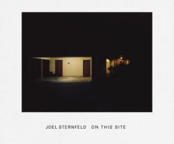 Joel Sternfeld : On This Site
