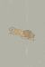 Like a Lion : A 2020 Journal Featuring Sword and Pencil Art - Based on Sola Scriptura Like a Lion : A 2020 Journal Featuring Sword and Pencil Art - Based on Sola Scriptura