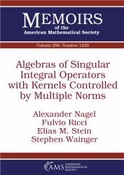 Algebras of Singular Integral Operators with Kernels Controlled by Multiple Norms