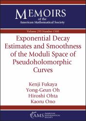 Exponential Decay Estimates and Smoothness of the Moduli Space of Pseudoholomorphic Curves