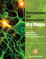 Neuroanatomy and Neuroscience