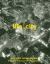 Life of the City : New York Photographs from the Museum of Modern Art