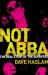 Not Abba : The Real Story of The 1970s