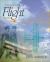 Introduction to Flight