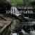 Pennsylvania's Wild Highlands : Northcentral Mountains, Forests, and Streams