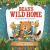 Bear's Wild Home Bear's Wild Home