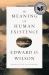 The Meaning of Human Existence The Meaning of Human Existence