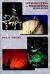 Introduction to Engineering