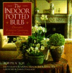 Indoor Potted Bulb : Decorative Container Gardening with Flowering Bulbs