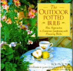 The Outdoor Potted Bulb