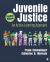 Juvenile Justice : An Active-Learning Approach Juvenile Justice : An Active-Learning Approach