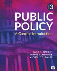 Public Policy : A Concise Introduction