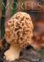 Morels Morels