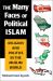 The Many Faces of Political Islam : Religion and Politics in the Muslim World