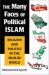 The Many Faces of Political Islam : Religion and Politics in the Muslim World
