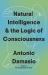 Natural Intelligence and the Logic of Consciousness