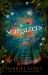 The Stargazers : A Captivating, Magical Love Story with a Breathtaking Twist