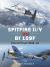 Spitfire II/V vs Bf 109F : Channel Front 1940-42