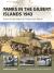 Tanks in the Gilbert Islands 1943 : Armor in the Battles for Tarawa and Makin