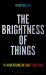 The Brightness of Things : An Adventure in Light and Time