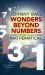 Wonders Beyond Numbers : A Brief History of All Things Mathematical