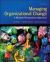 Managing Organizational Change: a Multiple Perspectives Approach
