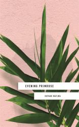 Evening Primrose : A Heart-Wrenching Novel for Our Times