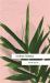 Evening Primrose : A Heart-Wrenching Novel for Our Times