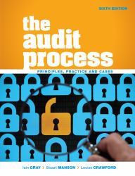 Audit Process