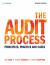 The Audit Process