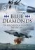 Blue Diamonds : The Exploits of 14 Squadron RAF 1945-2015