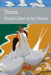 Terns (Collins New Naturalist Library, Book 123)