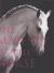 The Majesty of the Horse : An Illustrated History