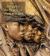 The Image of the Black in Western Art, Volume IV: from the American Revolution to World War I, Part 1: Slaves and Liberators Vol. 4, Pt. 1 : New Edition