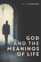 God and the Meanings of Life : What God Could and Couldn't Do to Make Our Lives More Meaningful