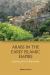 Arabs in the Early Islamic Empire : Exploring Al-Azd Tribal Identity
