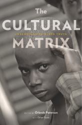 Cultural Matrix : Understanding Black Youth