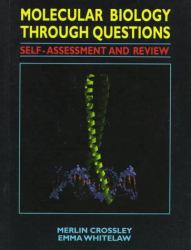 Molecular Biology Through Questions