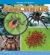 Animal Kingdom Pack a Of 4
